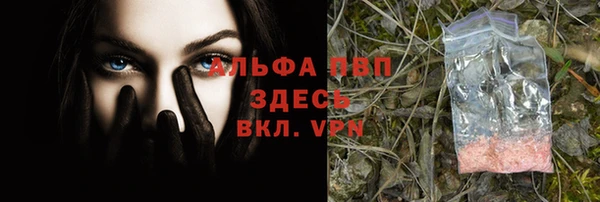 ГАЛЛЮЦИНОГЕННЫЕ ГРИБЫ Осташков