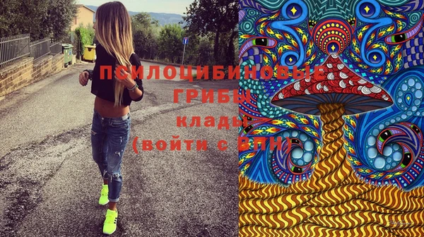 ГАЛЛЮЦИНОГЕННЫЕ ГРИБЫ Осташков