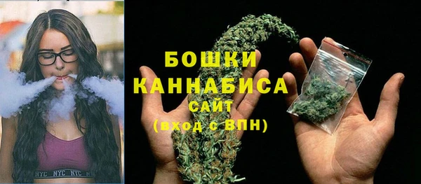 ГАЛЛЮЦИНОГЕННЫЕ ГРИБЫ Осташков