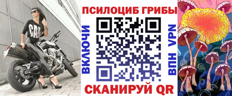 Галлюциногенные грибы Magic Shrooms  Купить  Кингисепп 